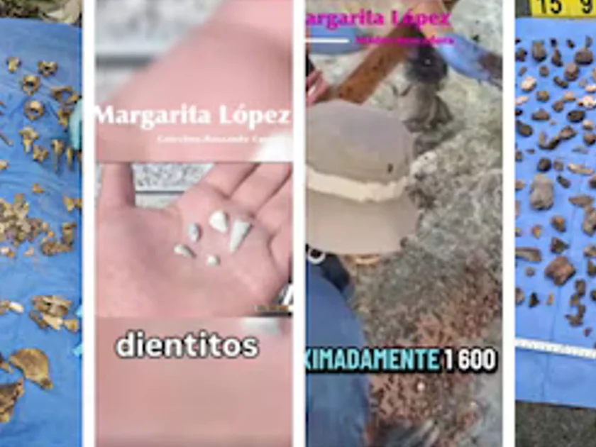 En un campo de exterminio en Zacapu, Michoacán, fueron hallados dientes de aproximadamente 80 niños debido a que peritos determinaron que los dientitos de leche eran pequeños y pertenecían a niños menores de 12 años encontrados desde 2021 Foto: Colectivo Buscando cuerpos