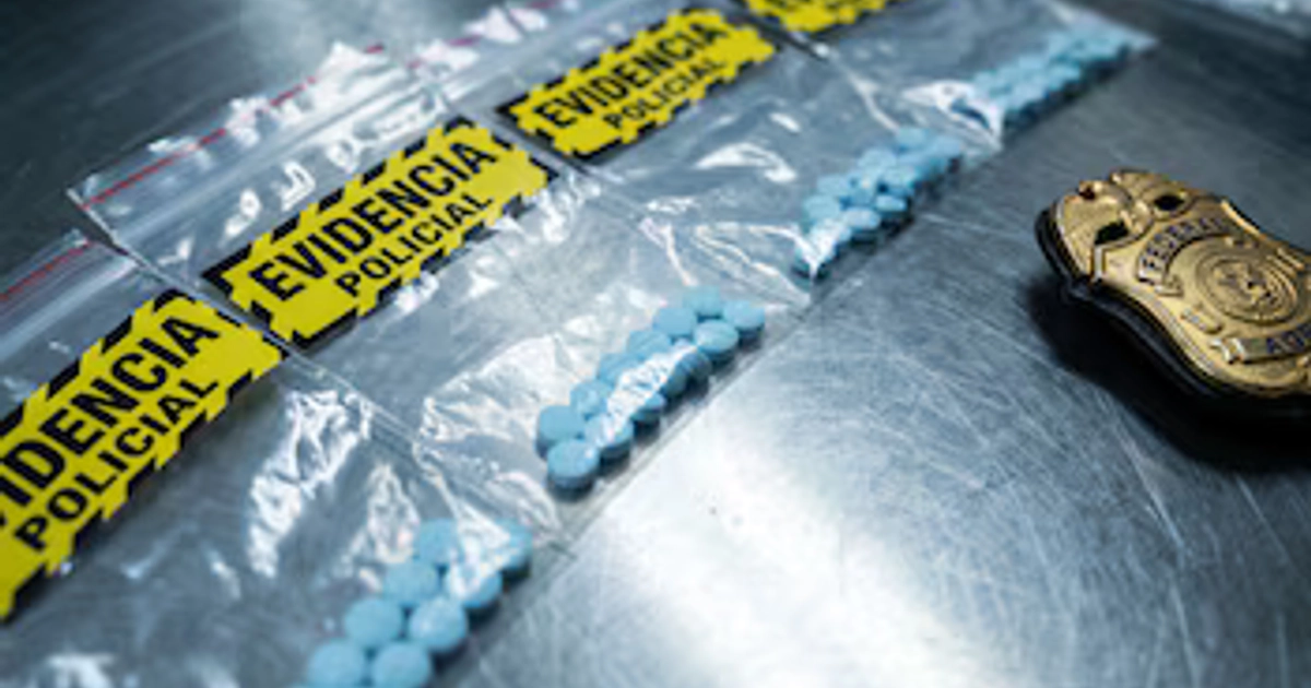 Bolsas transparentes con etiquetas de evidencia policial contienen pastillas azules sobre una mesa metálica junto a una placa dorada.