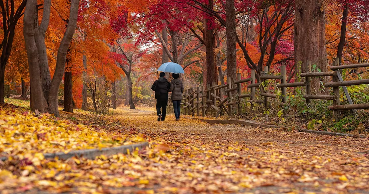¿Cuándo y a qué hora será el equinoccio de otoño 2026 en México? Esto se sabe. Foto: Pixabay