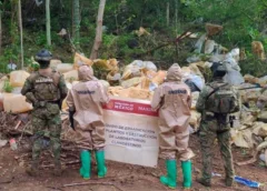 Golpe al narcotráfico: Desmantelan laboratorio y aseguran 750 kilos de metanfetamina