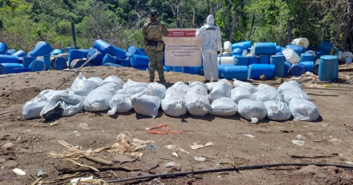 Las autoridades señalaron que la cooperación internacional, con pleno respeto a nuestra soberanía, seguirá traduciéndose en acciones concretas contra quienes producen y trafican drogas Foto: FGR