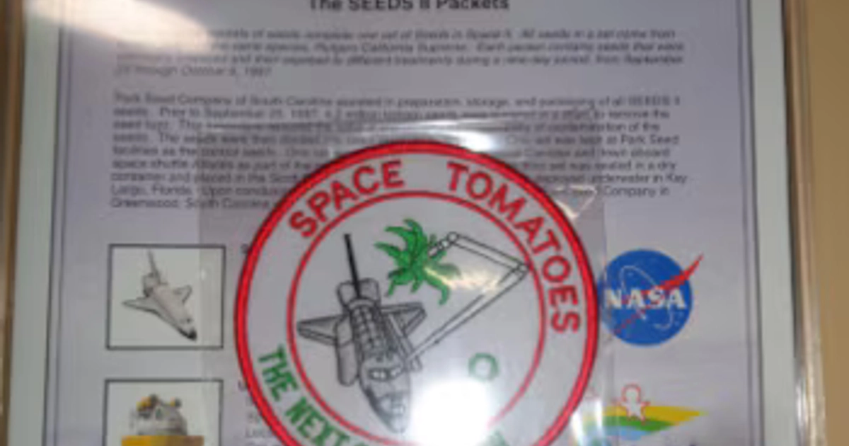 El proyecto SEEDS entregó 132000 kits a escuelas de Estados Unidos, con semillas espaciales y lote de control guardados en la Tierra (NASA)