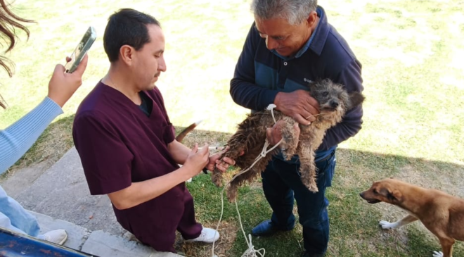 En Hidalgo se inmunizará a más de 202 mil perros y gatos