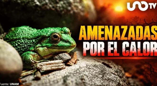 Un millón de especies podrían extinguirse para 2100 por el calentamiento global, alerta experta de la UNAM