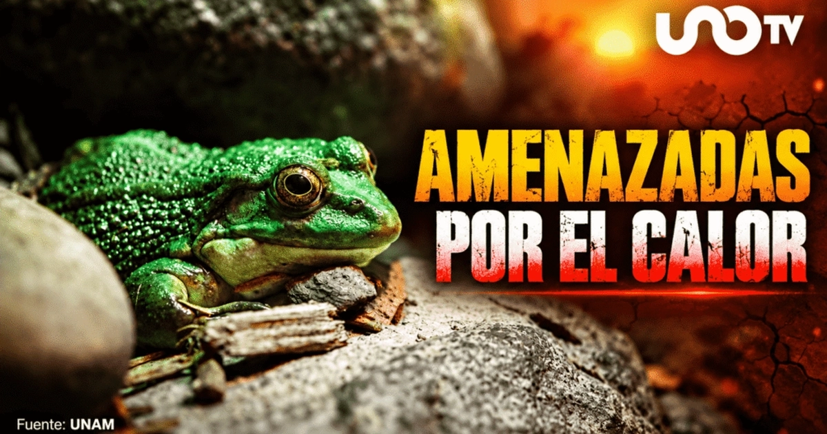 El aumento del calor en el mundo amenaza a miles de especies