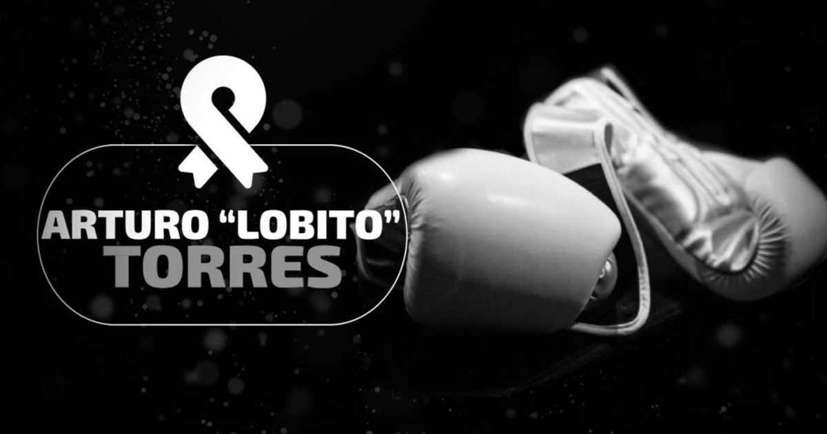 ¿Quién fue el boxeador mexicano Arturo “Lobito” Torres? | Pexels (Ilustrativa)