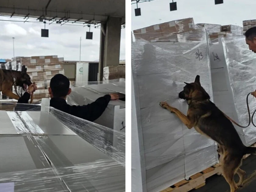 Decomiso de droga en Tijuana. Foto: Gobierno de México.