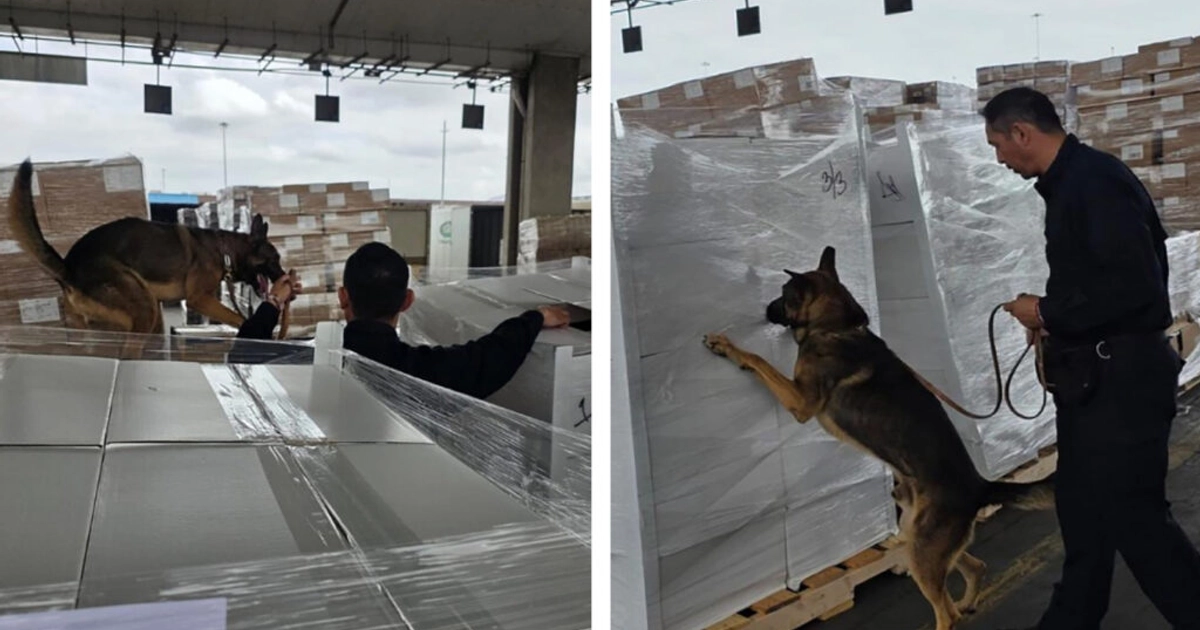 Decomiso de droga en Tijuana. Foto: Gobierno de México.