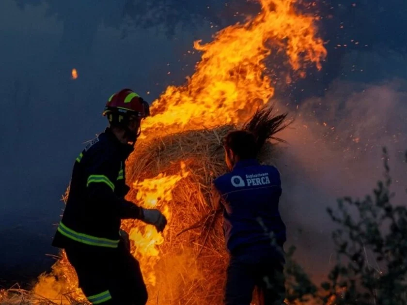 Incendio en Zamora España arrasa con hectáreas de bosque