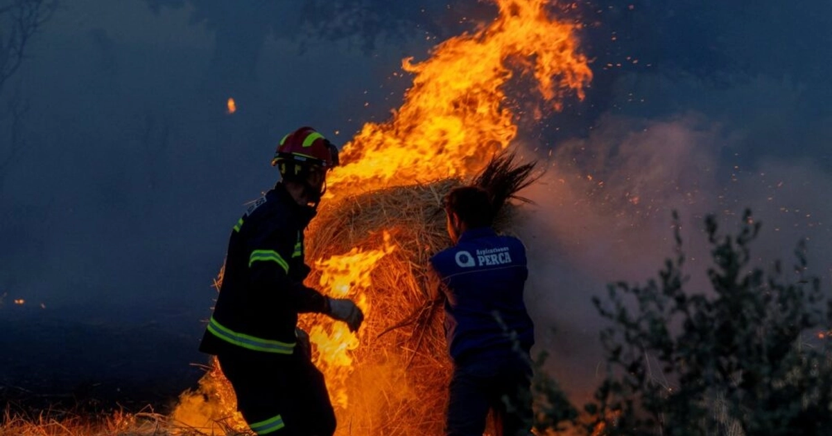 Incendio en Zamora España arrasa con hectáreas de bosque