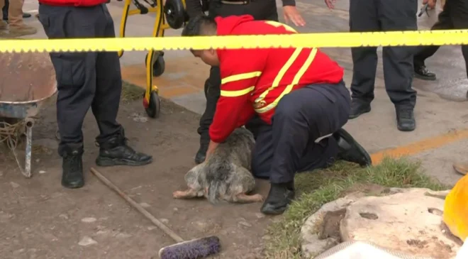 Explosión en Coacalco Deja un Perro Quemado, Lesionados y un Puesto de Dulces Destruído – N+