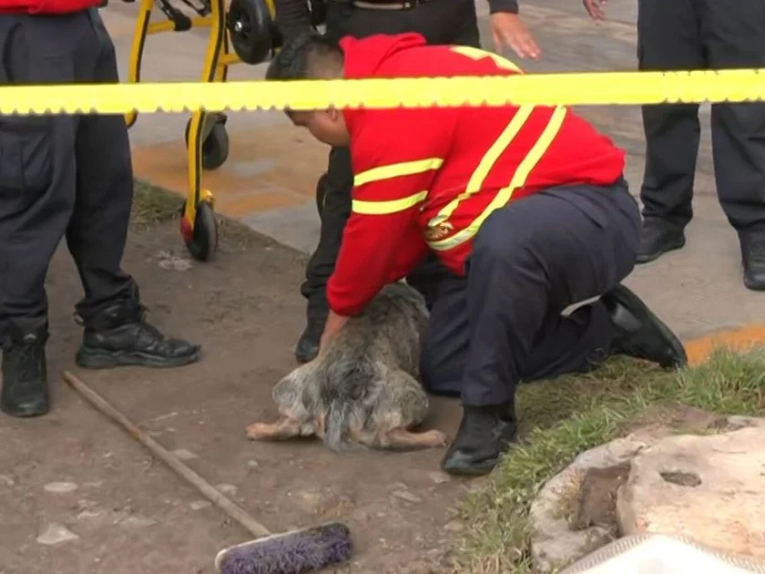 Explosión en Coacalco Deja un Perro Quemado, Lesionados y un Puesto de Dulces Destruído
