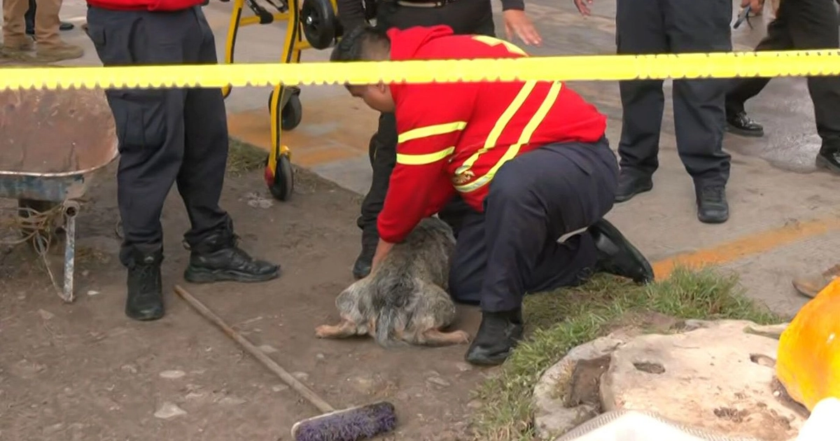 Explosión en Coacalco Deja un Perro Quemado, Lesionados y un Puesto de Dulces Destruído