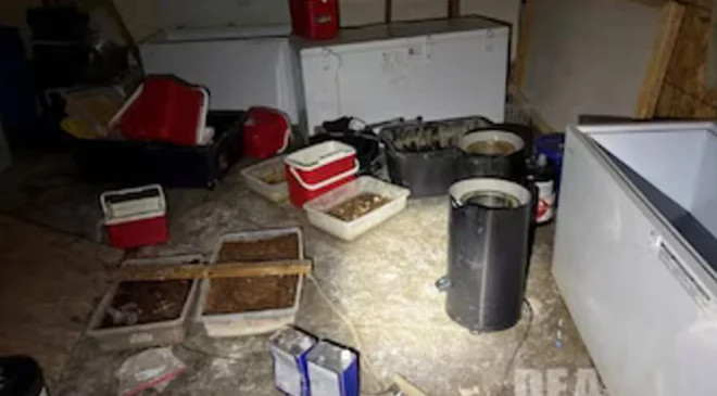 Golpe al narco en California: desmantelan laboratorio y detienen a 5 mexicanos con 900 kilos de droga