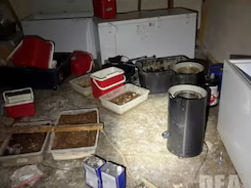 Desmantelan narcolaboratorio y confiscan más de 900 kilos de droga en California: hay 5 mexicanos detenidos. DEA San Francisco