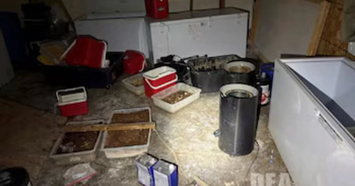 Desmantelan narcolaboratorio y confiscan más de 900 kilos de droga en California: hay 5 mexicanos detenidos. DEA San Francisco