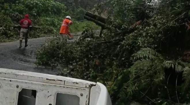 Alerta amarilla en Hidalgo: advierten riesgo de deslaves por lluvias; temperaturas podrían llegar a cero grados