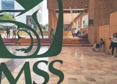 El IMSS tiene prevista la entrega de un monto para reconocer a médicos, personal de enfermería, entre otros trabajadores. Foto: Luis Camacho/ EL UNIVERSAL