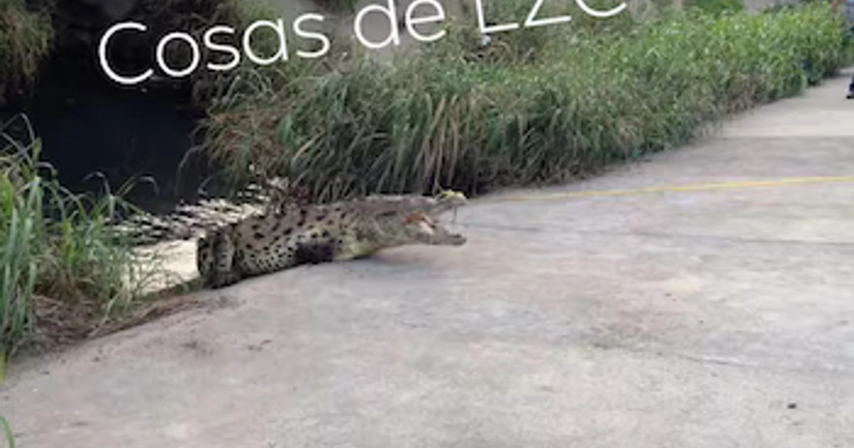 (Facebook / Cosas de Lázarocardenenses)