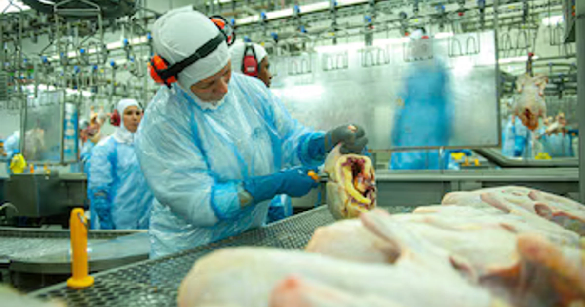 La restricción incluye carne de ave, huevo fértil, pollitos y distintas especies de aves procedentes de Brasil.