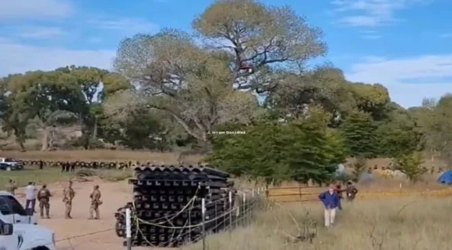 Patrulla Fronteriza derriba árbol de 250 años para avanzar con muro entre Sonora y Arizona; Nación Tohono O’odham denuncia desalojo de defensores