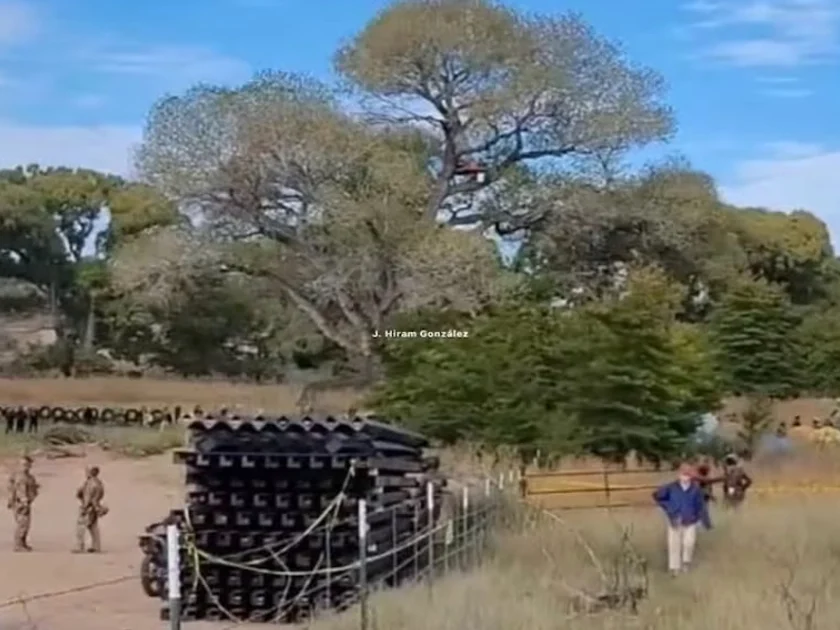 Patrulla Fronteriza derriba árbol de 250 años para avanzar con muro entre Sonora y Arizona. Foto: Especial