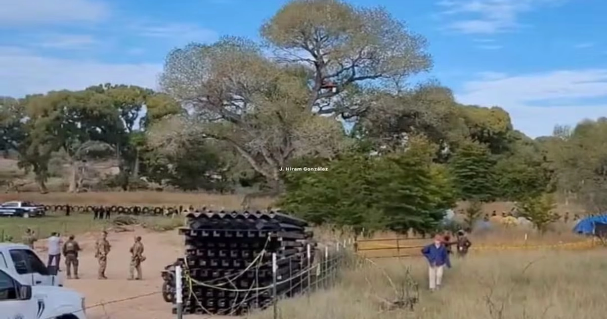 Patrulla Fronteriza derriba árbol de 250 años para avanzar con muro entre Sonora y Arizona. Foto: Especial