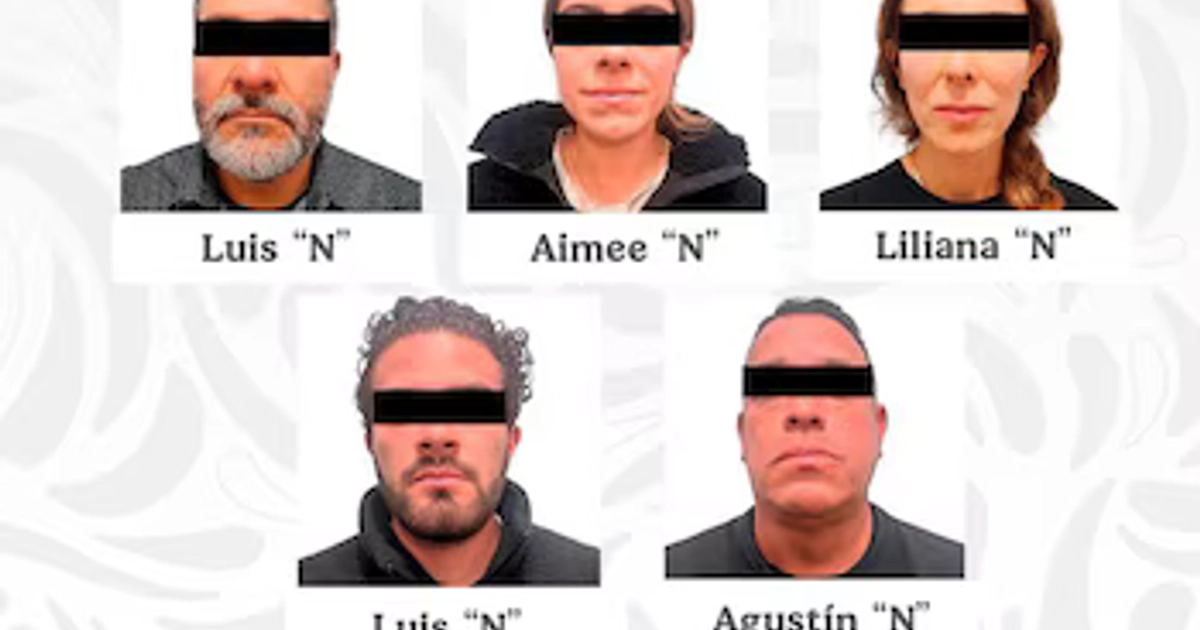 Red que suplantaba a funcionarios públicos