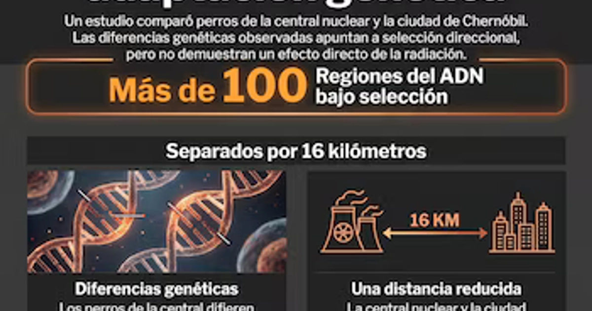 Los animales de la central mostraron diferencias genéticas inusuales frente a otras poblaciones de perros
