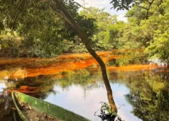 Reportan derrame de hidrocarburo en río del sur de Veracruz; al menos 7 kilómetros resultan afectados