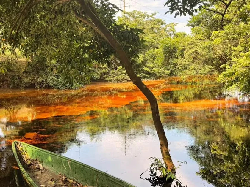 Al menos siete kilómetros del río Chacalapa fueron contaminados por el producto. (15/10/26) Foto: Heidi Castellanos/ Cortesía