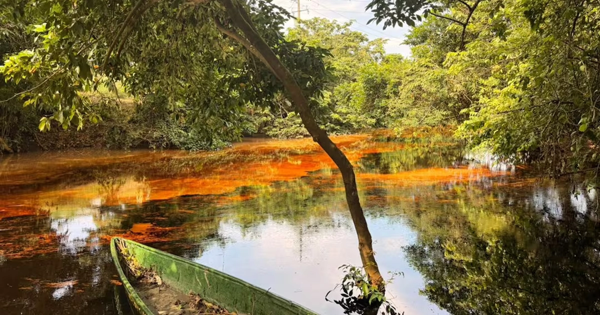 Al menos siete kilómetros del río Chacalapa fueron contaminados por el producto. (15/10/26) Foto: Heidi Castellanos/ Cortesía