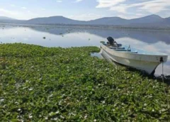Pobladores y diputados expusieron a la Secretaria de Medio Ambiente la terrible situación que viven en la presa Endho, pero no obtuvieron respuestas