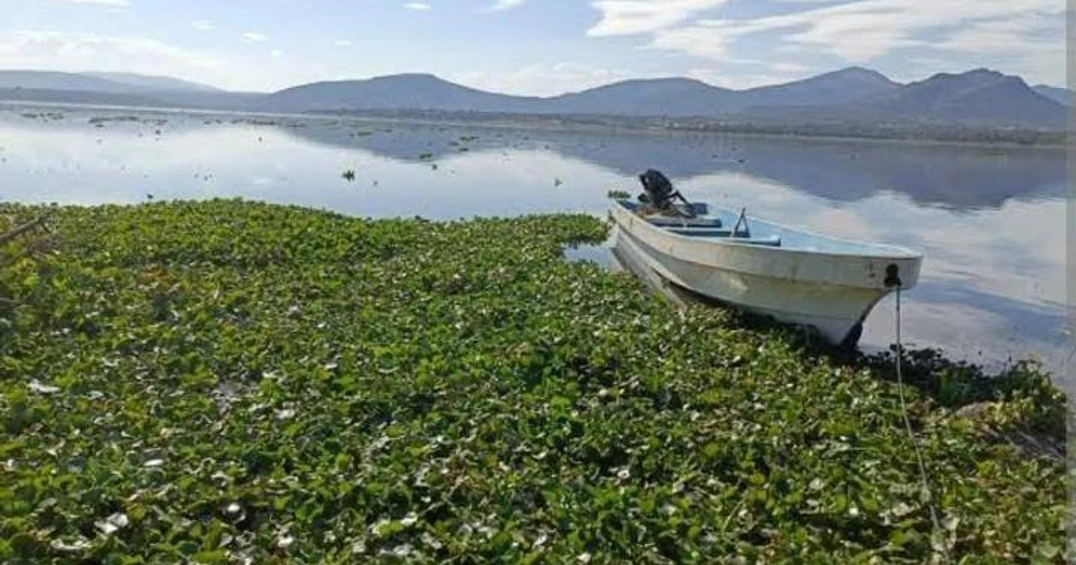 Pobladores y diputados expusieron a la Secretaria de Medio Ambiente la terrible situación que viven en la presa Endho, pero no obtuvieron respuestas