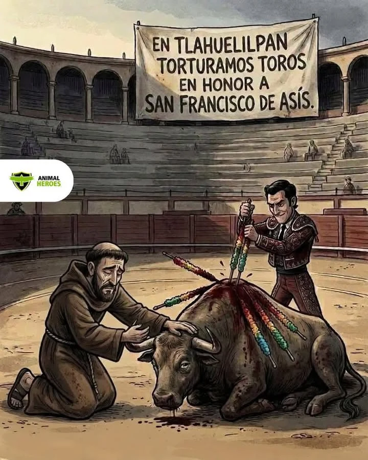 Juez permitió que se realizara la corrida de toros; protectores de animales aseguran que se infringió la ley