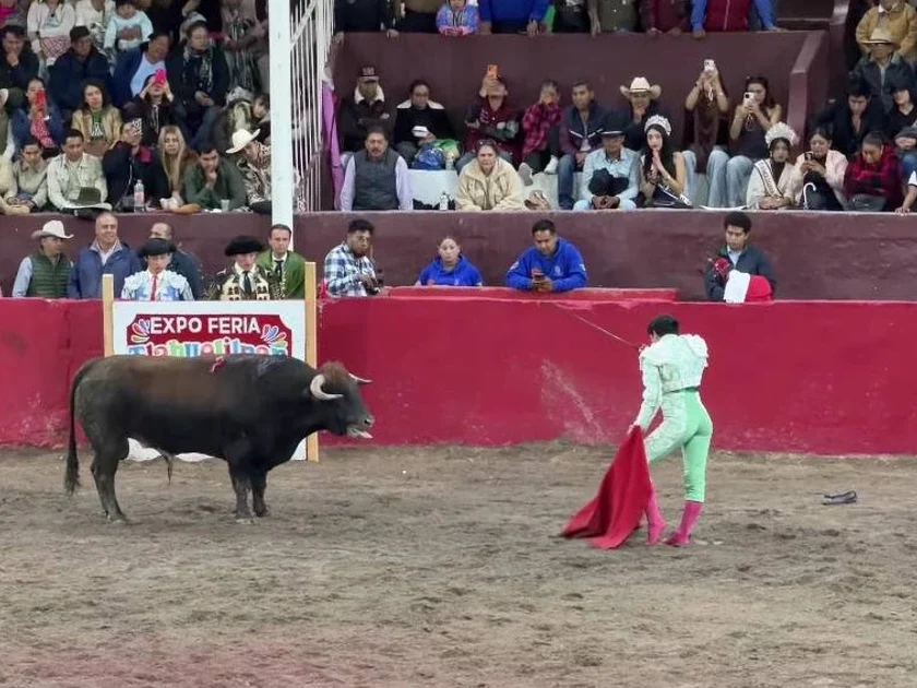 Juez permitió que se realizara la corrida de toros; protectores de animales aseguran que se infringió la ley