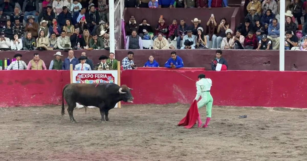 Juez permitió que se realizara la corrida de toros; protectores de animales aseguran que se infringió la ley