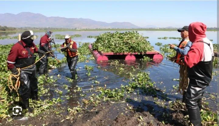 Pobladores y diputados expusieron a la Secretaria de Medio Ambiente la terrible situación que viven en la presa Endho, pero no obtuvieron respuestas