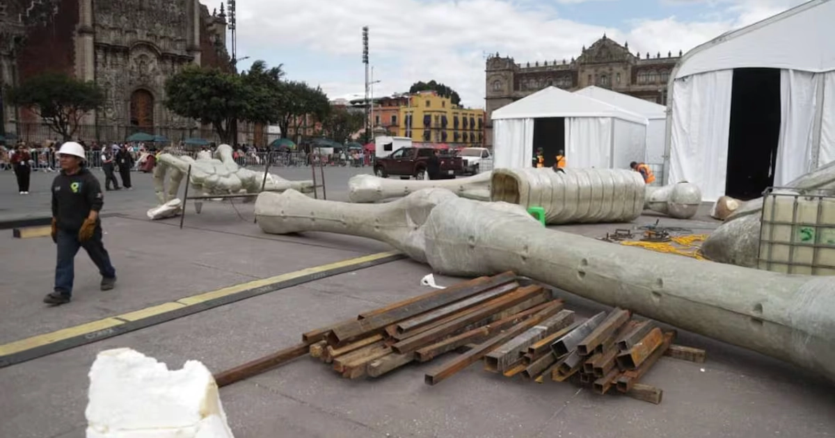 Partes de lo que esperan sea