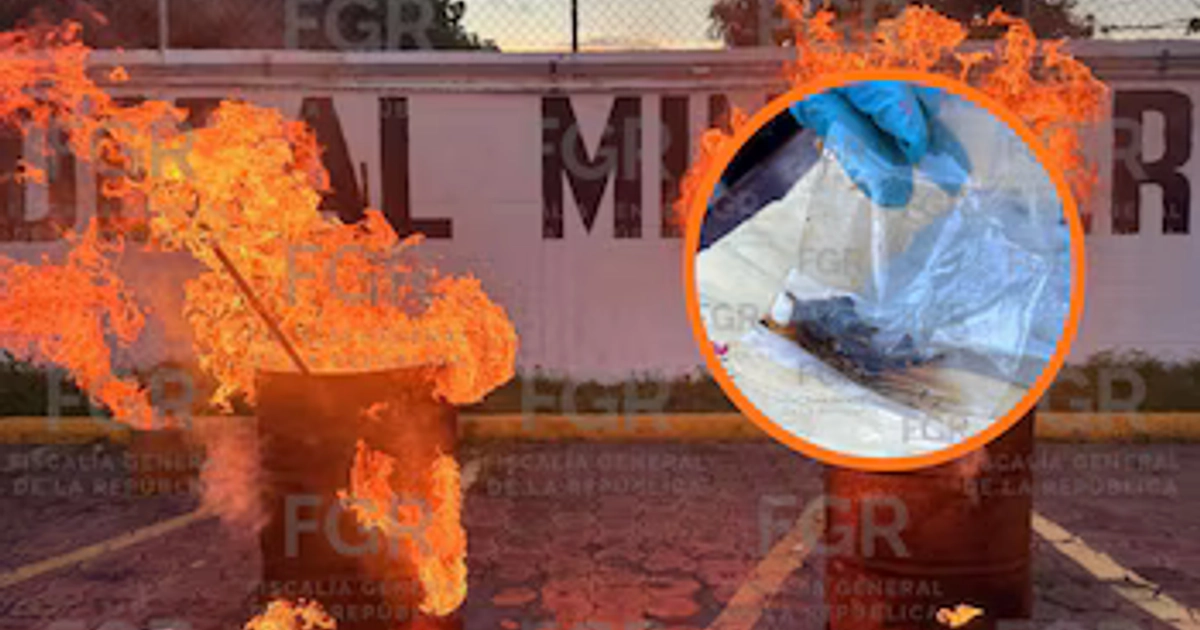 La FGR destruye en Veracruz casi cinco toneladas de drogas, piratería y arsenal bélico. FGR