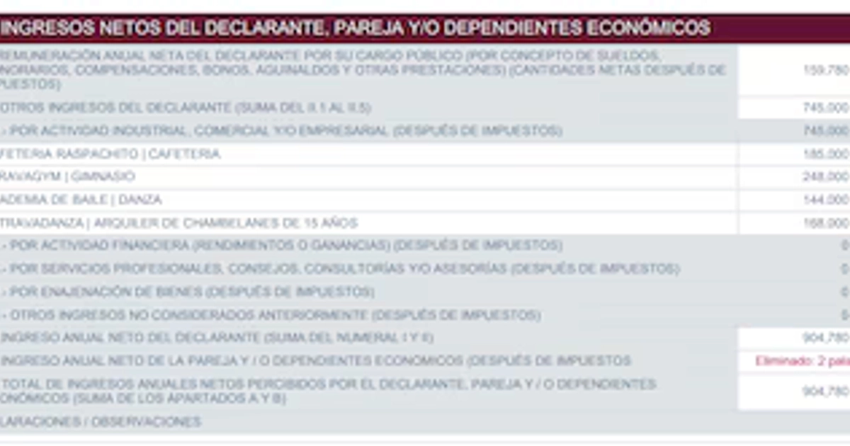 Jorge Lara declaró obtener ingresos por al menos cuatro negocios. (Captura de pantalla PNT)
