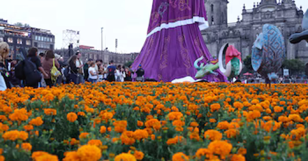 Una figura monumental de calavera vestida de morado se erige frente a la Catedral Metropolitana en el Zócalo de la Ciudad de México rodeada por flores de cempasúchil y visitantes. (Gobierno CDMX)