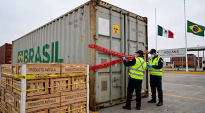México suspende importaciones avícolas de Brasil por brote viral: estos productos quedan restringidos