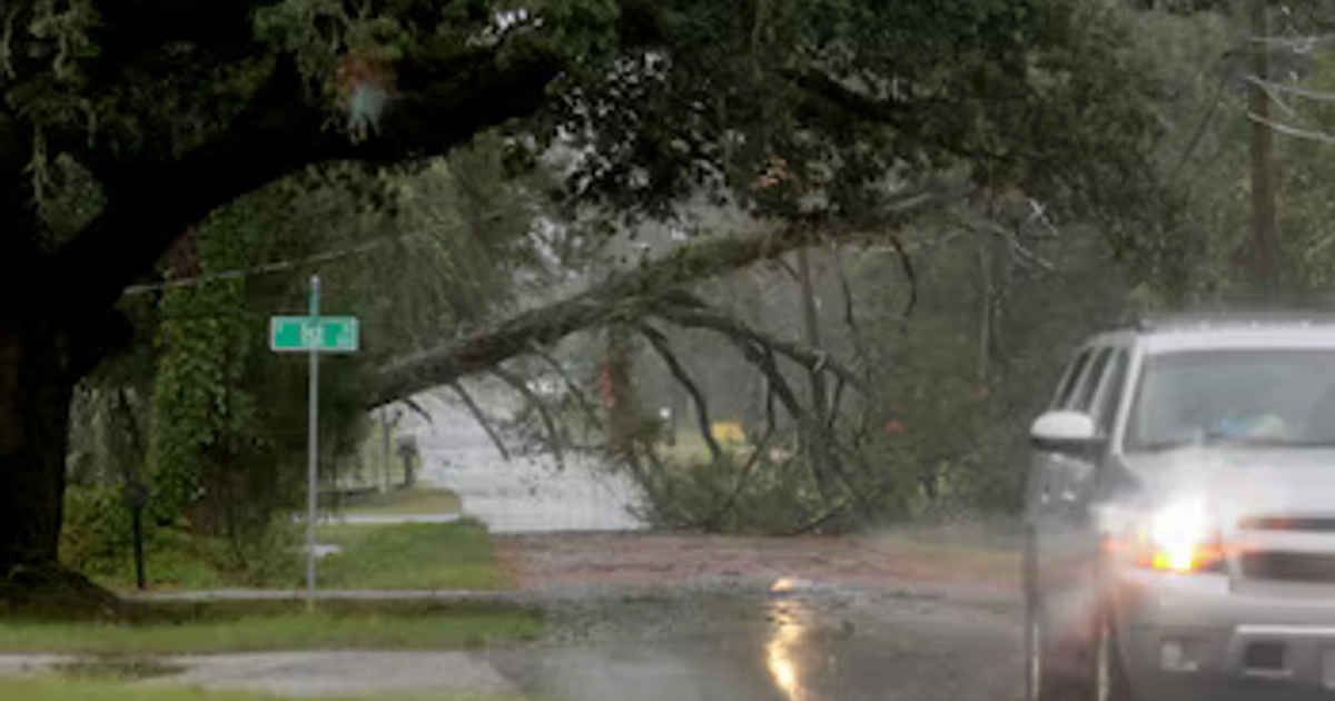 Una mujer falleció en el condado de Escambia tras la caída de un árbol sobre su residencia en Florida (AFP)