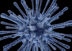 Investigan posible fuga de virus mortal en Rusia