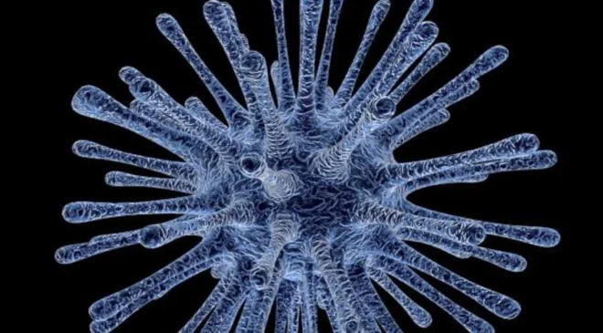 Investigan posible fuga de virus mortal en Rusia