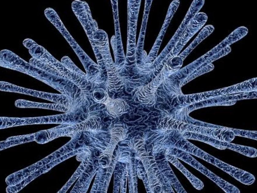 Investigan posible fuga de virus mortal en Rusia