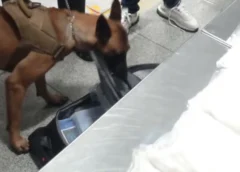 Tres personas fueron detenidas en el Aeropuerto Internacional de la Ciudad de México (29/10/26). Foto: Semar