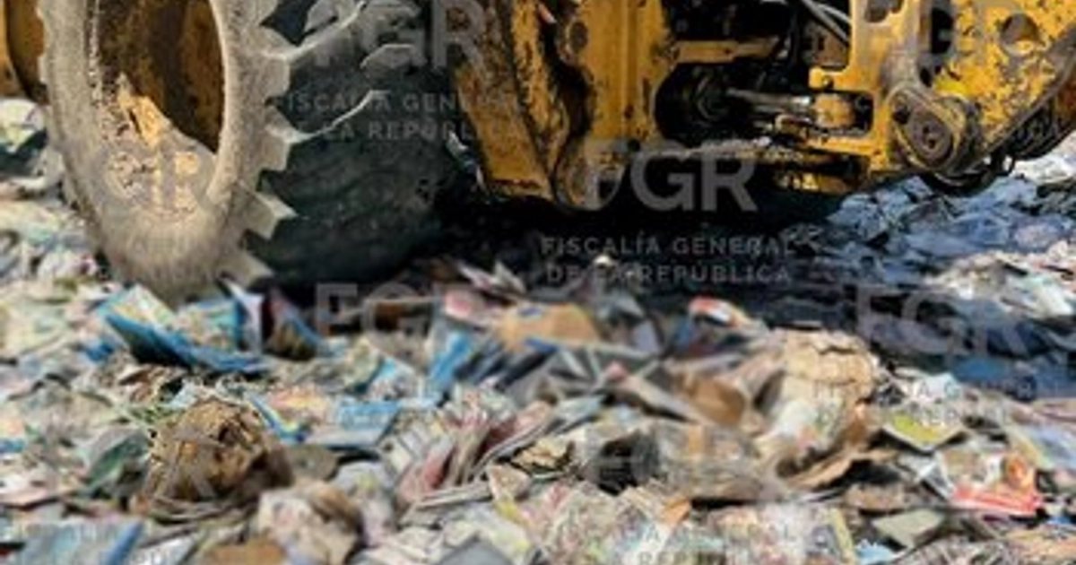 La FGR destruye en Veracruz casi cinco toneladas de drogas, piratería y arsenal bélico. FGR