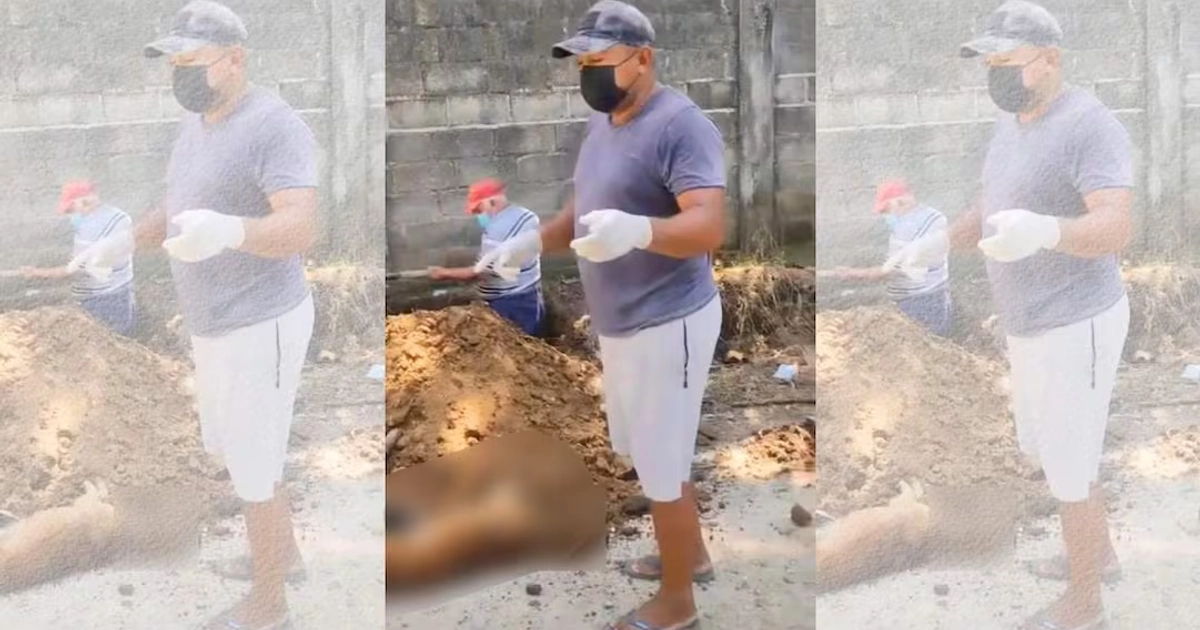 Vecinos de Pijijilpan, Chiapas, denunciaron un envenenamiento masivo de más de veinte perros. 30/10/2026. | Foto: Cortesía de los pobladores de Las Margaritas, Pijijiapan.